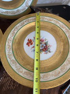 Vintage Bavaria Gold Gilded Floral Porcelain Dinner Plates Set of 9 Hand Painted Green Band Tableware Set Collectible Plates Dinnerware Set